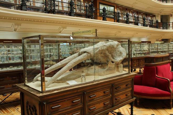 Museo Geominero