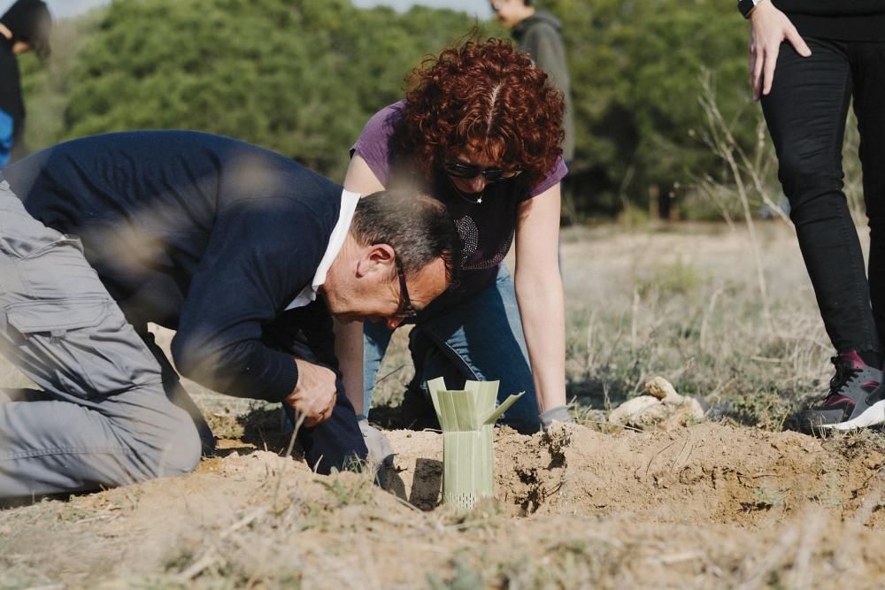 Plantación de especies autóctonas de alumnos del IES Mare Nostrum el día del arbol en el parque natural de las lagunas