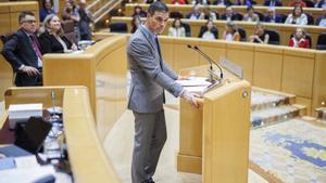 El presidente del Gobierno, Pedro Sánchez, ante el Pleno del Senado