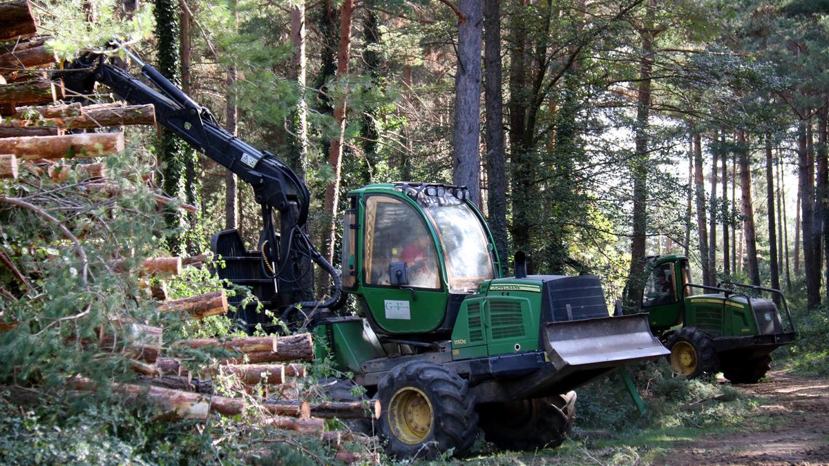 Dues màquines forestals treballant en un bosc de Capolat, al Berguedà