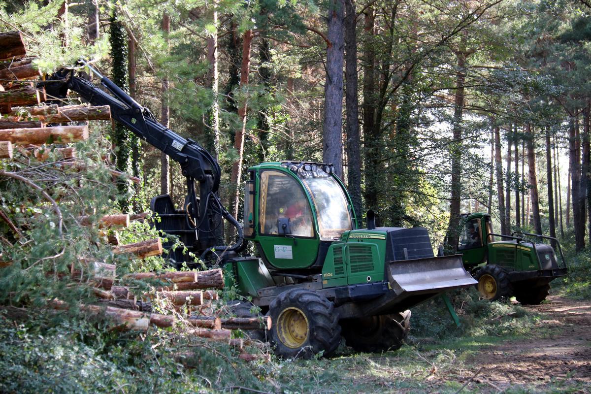 Dues màquines forestals treballant en un bosc de Capolat, al Berguedà