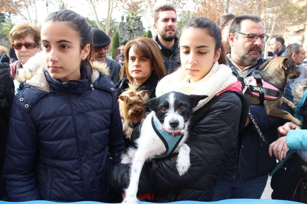 Bendición de los animales en la Ermita de San Antón