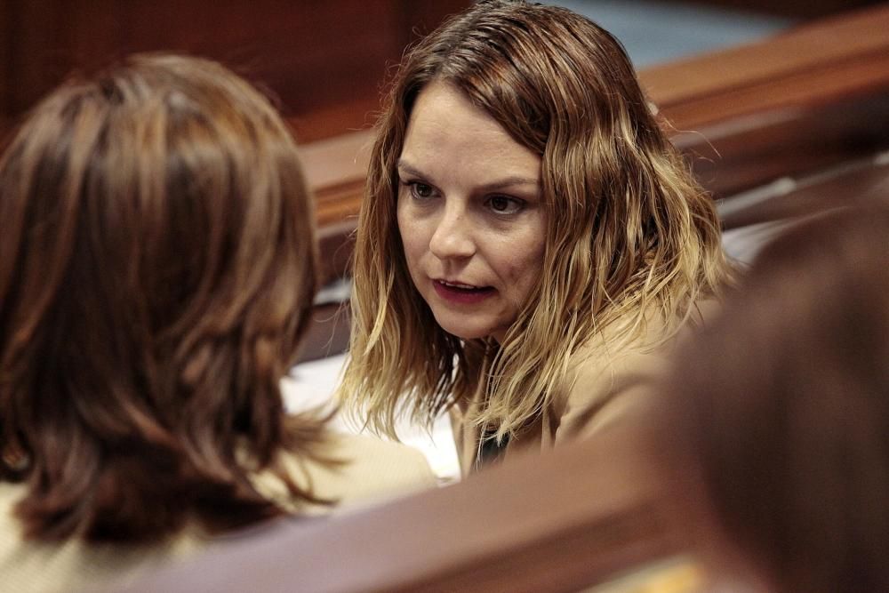 Pleno en el Parlamento de Canarias.