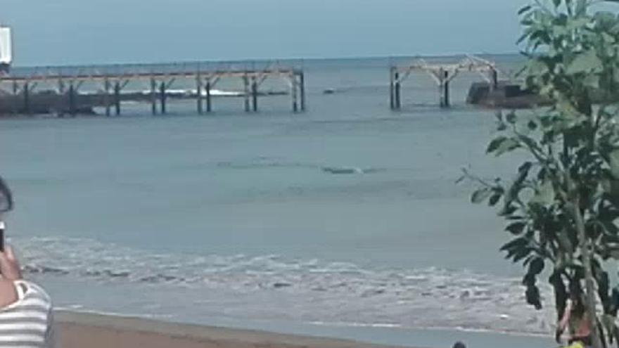 Un cetáceo se acerca a la playa de La Garita, en Arrieta