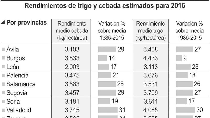 La cosecha de cereal en Zamora prevé rendimientos de casi 3.600 kilos hectárea