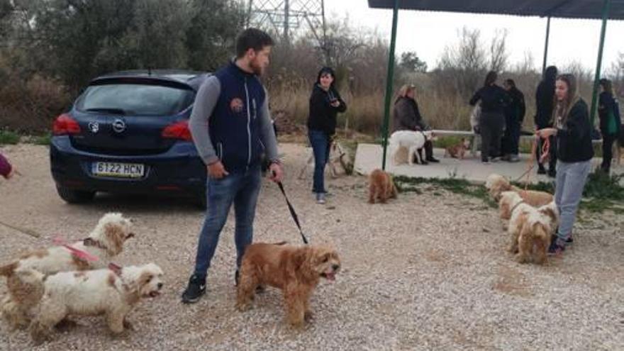 Un grupo de animalistas sacan las mascotas de Cereco.