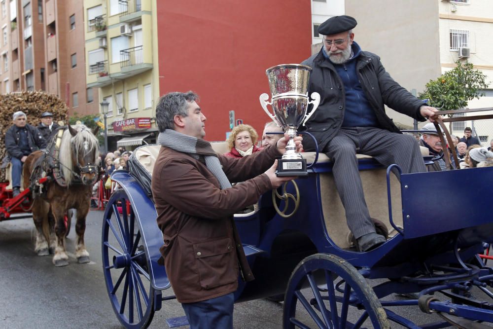 Sant Antoni en Valencia 2017