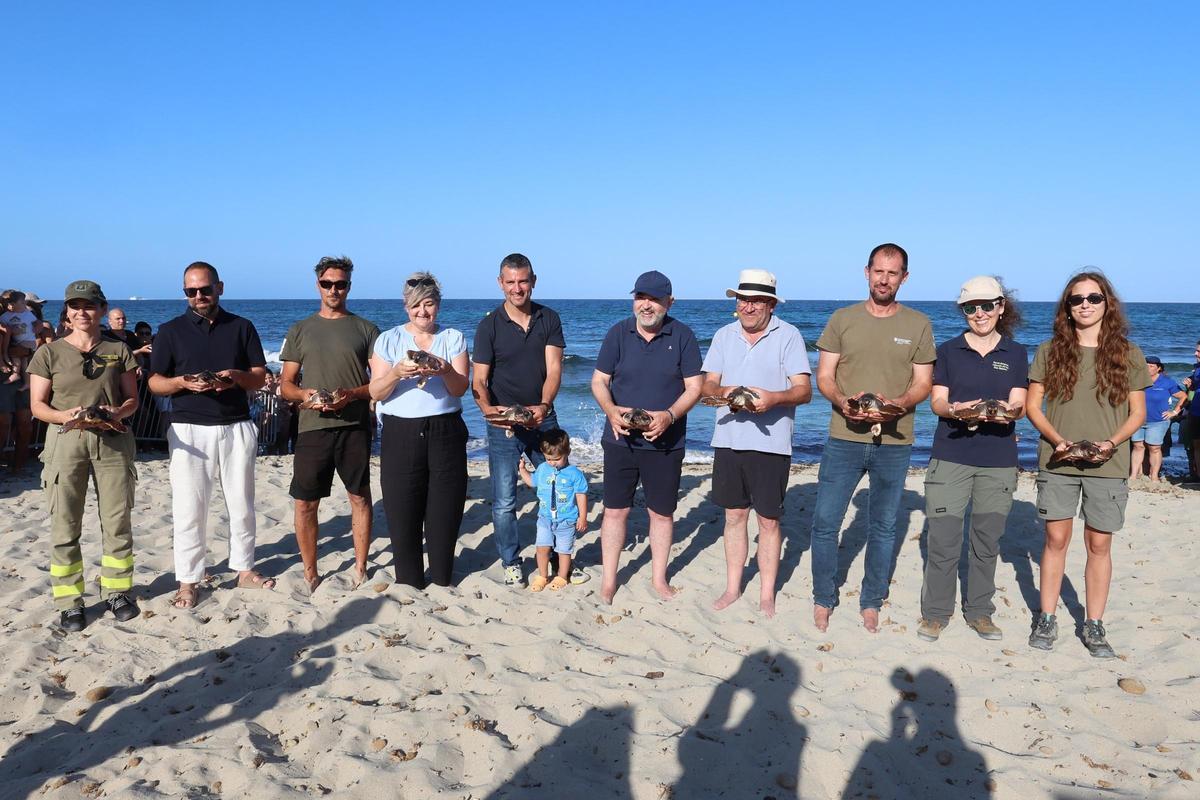Las tortugas de Ibiza vuelven al mar tras un año Las tortugas de Ibiza vuelven al mar tras un año
