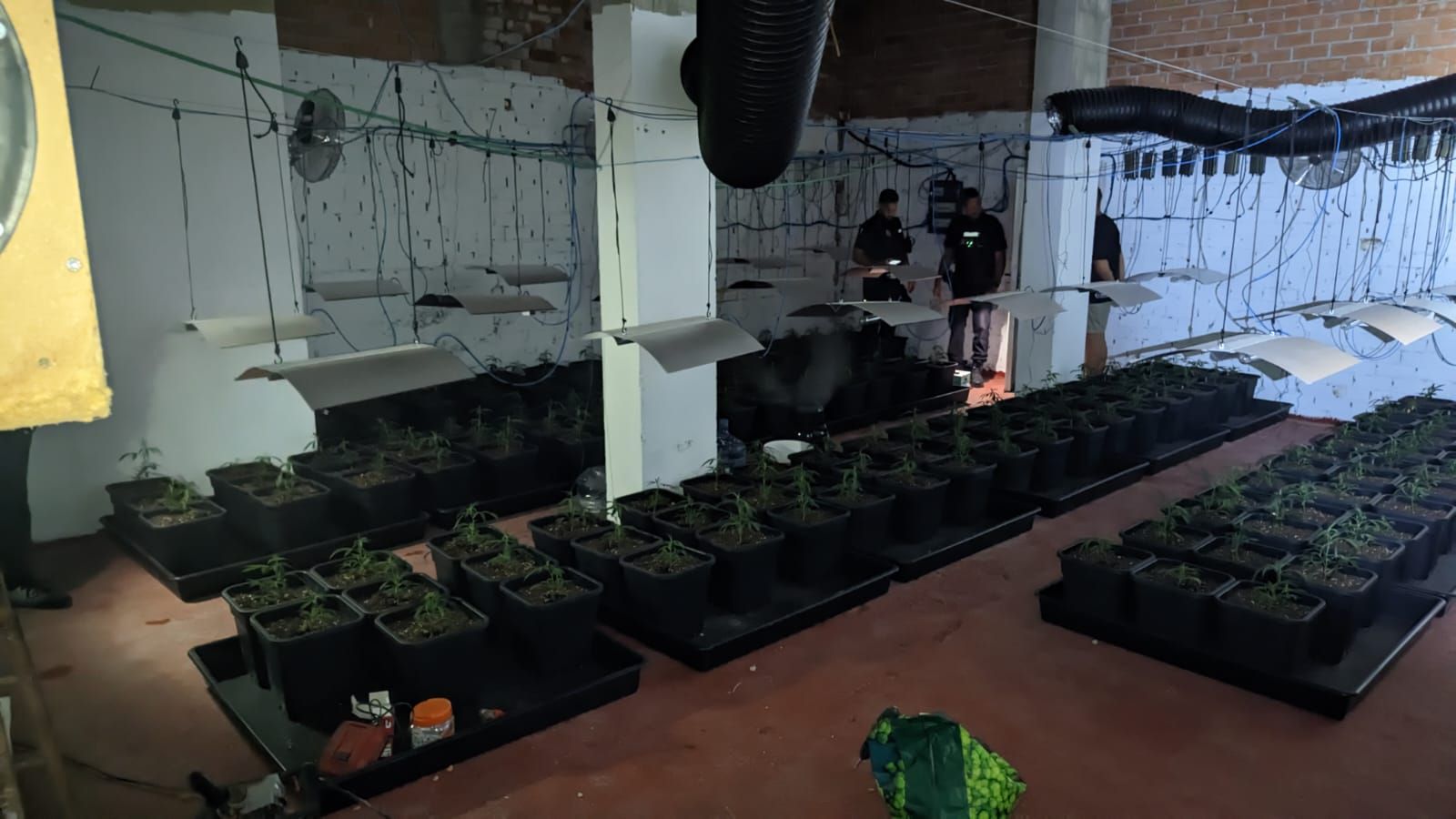 Descubren un criadero de marihuana al convertir el piso de los vecinos en un 'infierno'