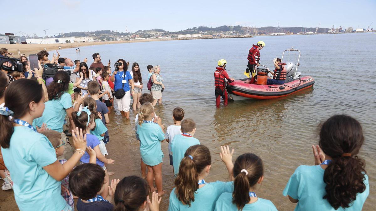 Video: La tortuga lora recuperada en el Acuario de Gijón vuelve al mar