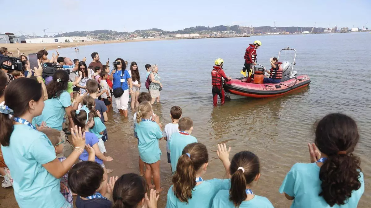 Video: La tortuga lora recuperada en el Acuario de Gijón vuelve al mar
