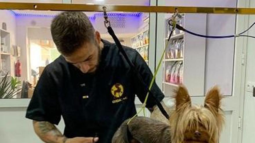 Cuidadog, la nueva peluquería canina en Santa Rosa