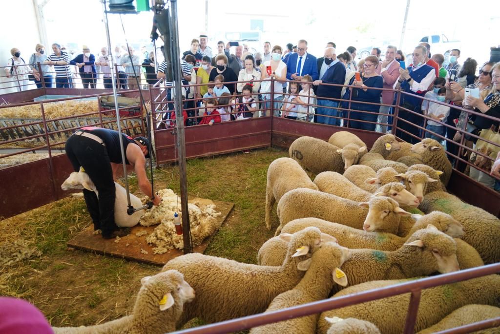 Villaralto celebra su Feria del Pastoreo