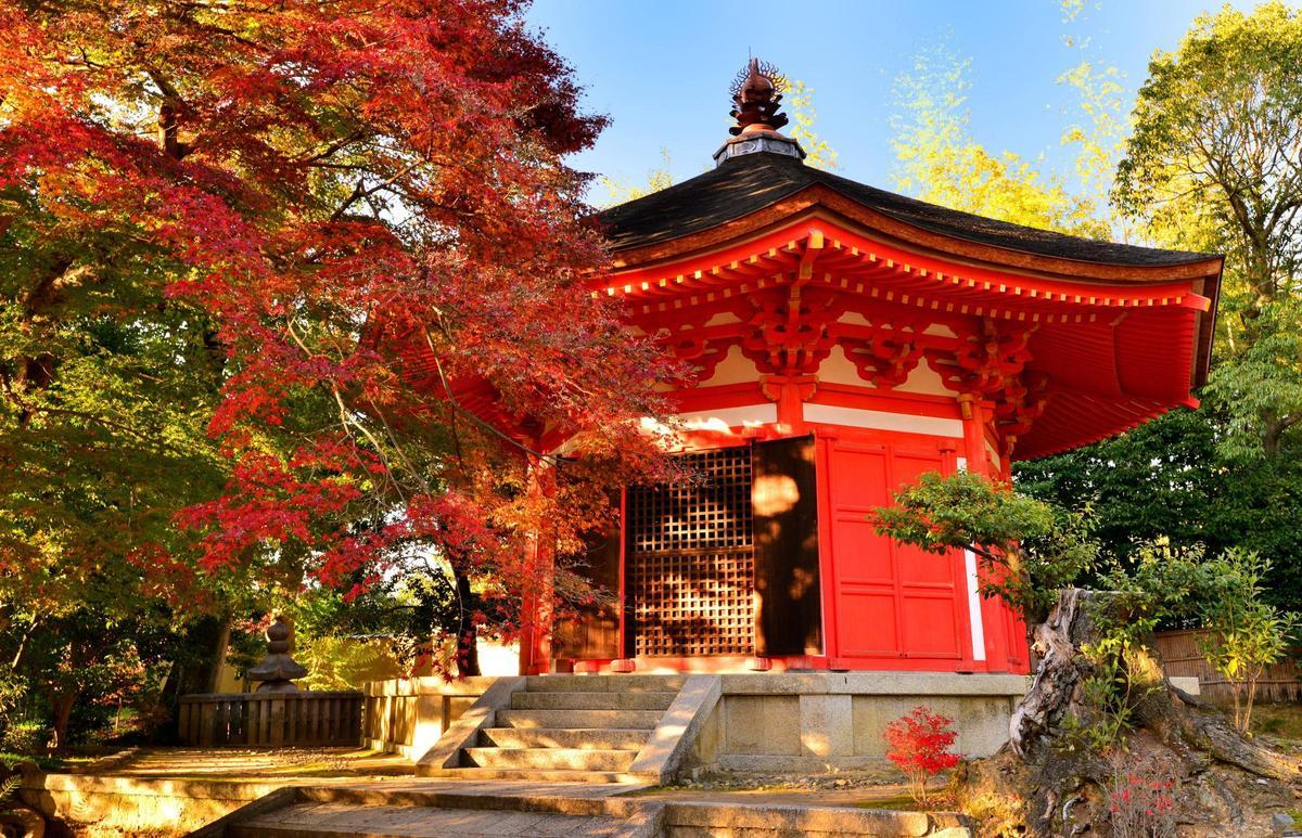 Japón en otoño