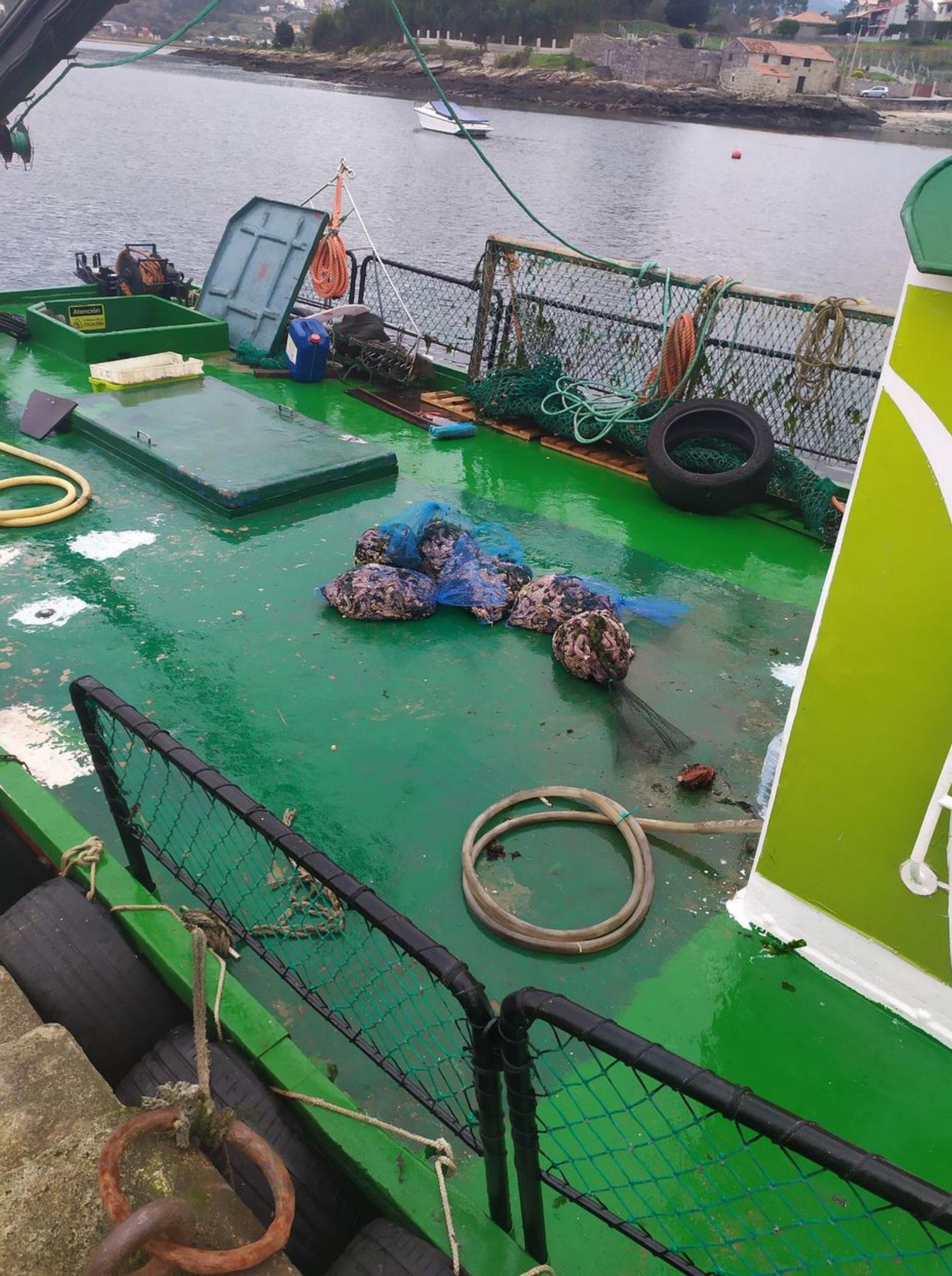 Estrellas de mar recogidas en una embarcación pesquera.   | // FDV