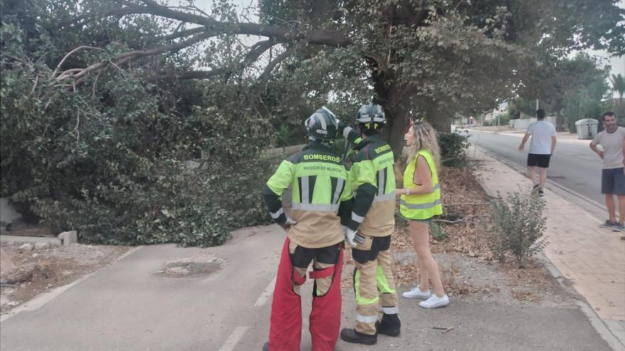 Se registran seis tornados en la pedanía lorquina de Purias