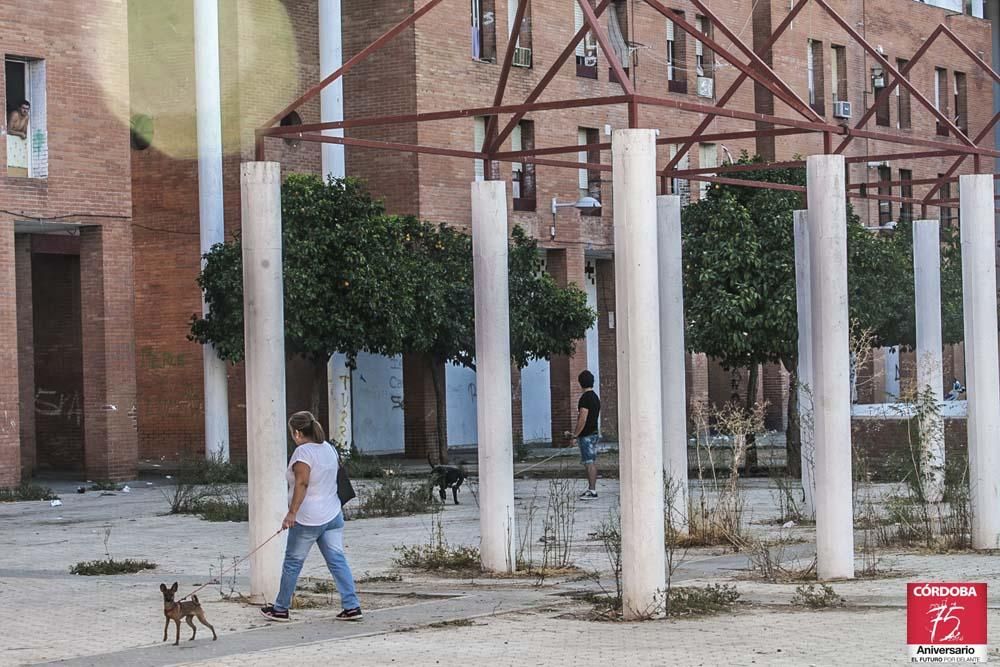 FOTOGALERÍA / La situación actual de las Palmeras