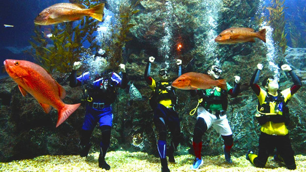 Amb un espectacle sota l’aigua mostrant tàctiques de futbol, quatre submarinistes fomenten el turisme a Bangkok, a l’aquari més gran del sud-est Asiàtic.