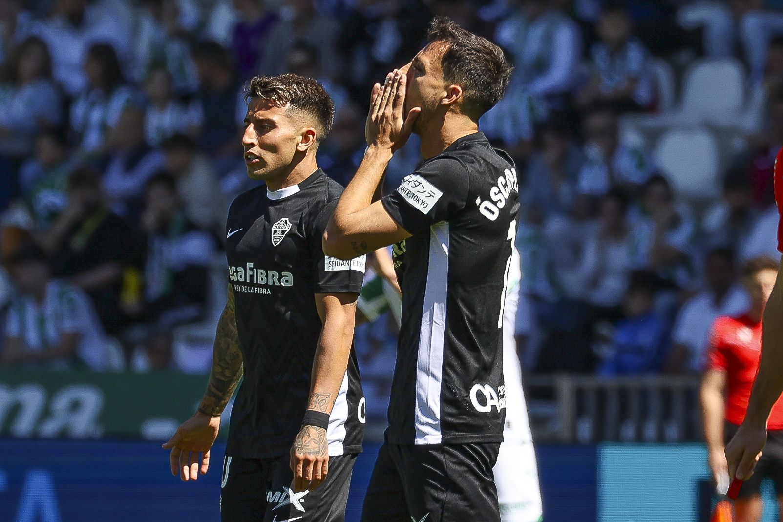 Las mejores imágenes del Elche - Córdoba