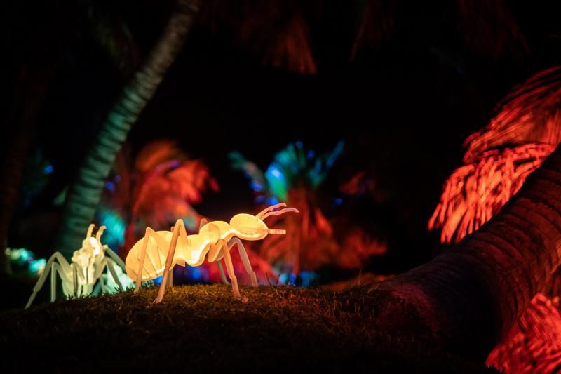 'Naturaleza Encendida'  en el Palmetum (Santa Cruz de Tenerife)