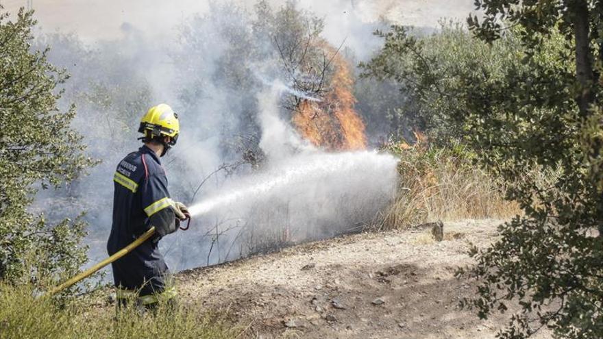 Otro incendio quema el paraje de la Buitrera