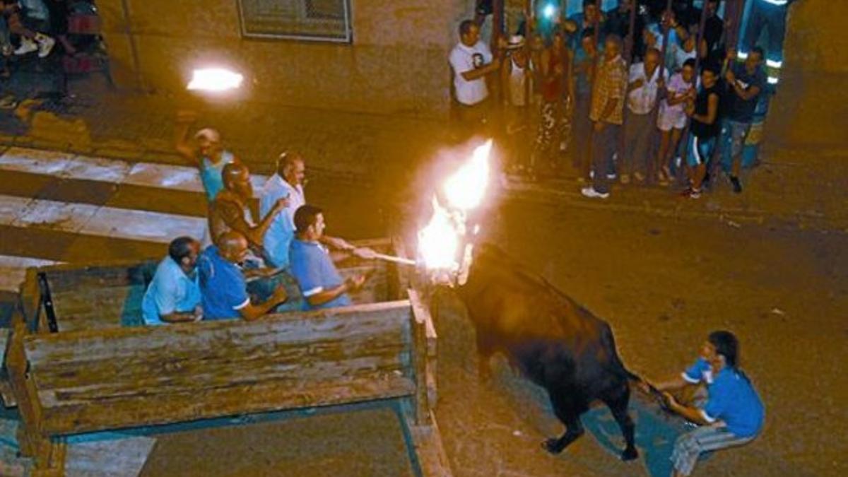Varios aficionados participan en el festejo del 'bou embolat', la madrugada de ayer en Sant Carles de la Ràpita (Montsià).