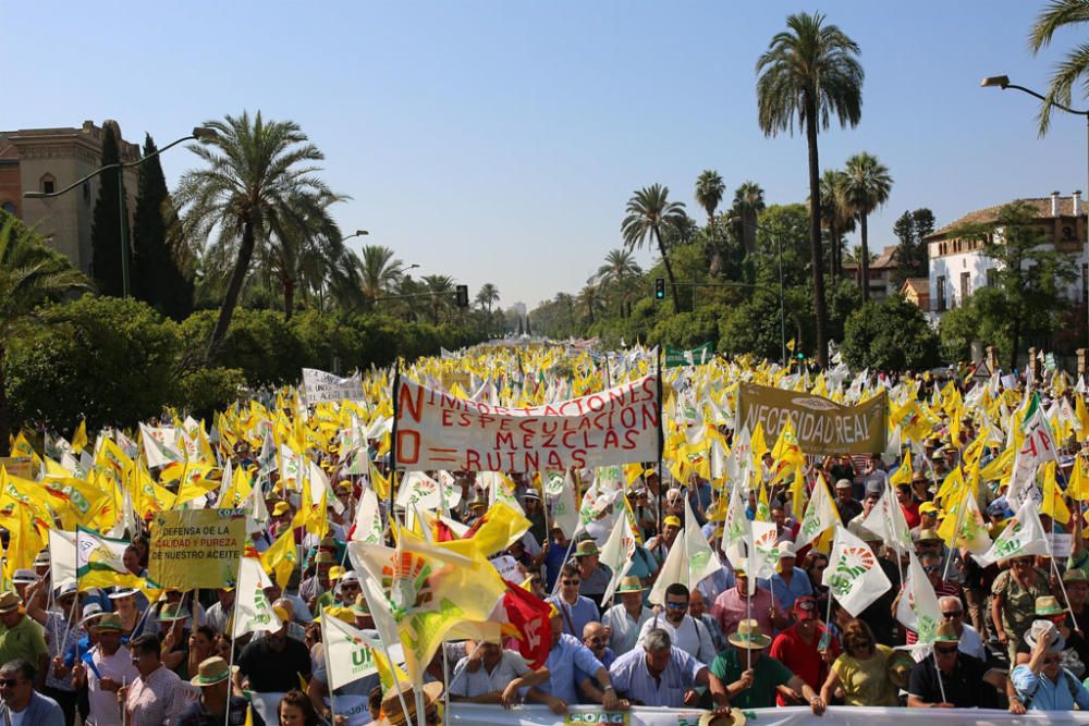 Manifestación en defensa del olivar andaluz en Sevilla