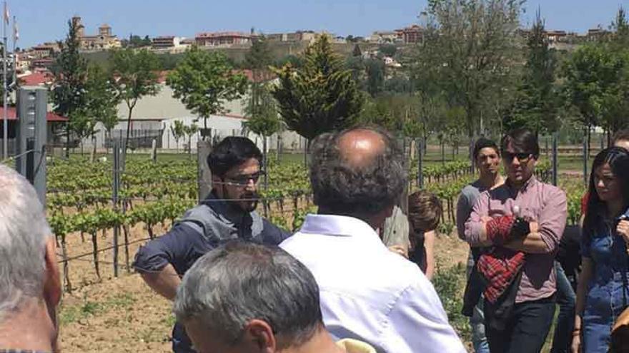 Trabajadores del Ayuntamiento de Guijuelo visitan la DO y Aqva