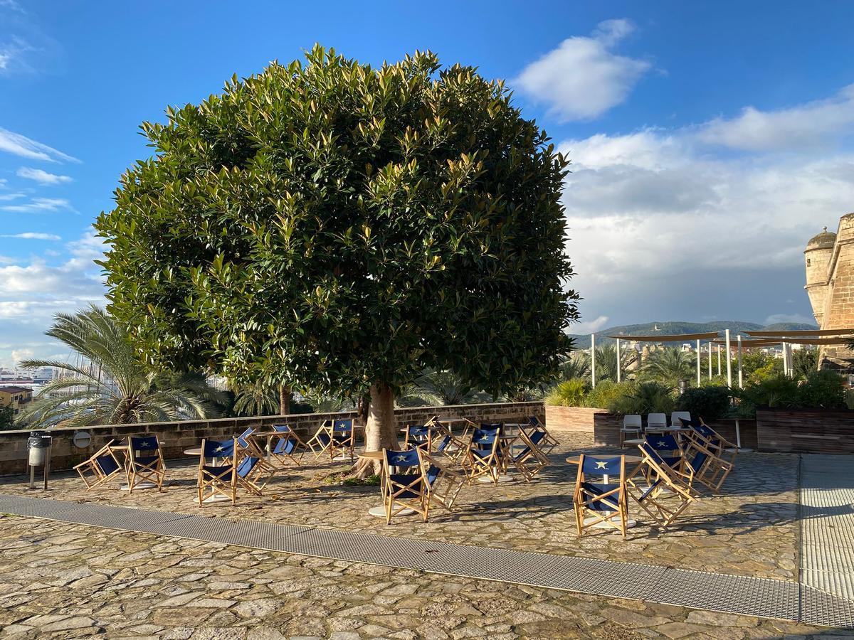 La nueva terraza "de carácter temporal y no permanente", añade más plazas a las 150 de la instalación principal