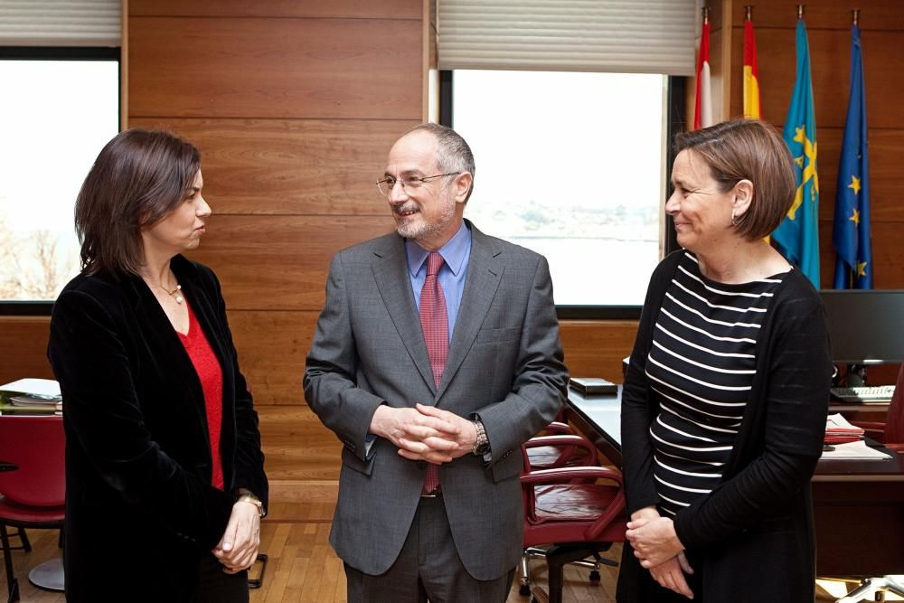 Recepción de la alcaldesa de Gijón al embajador israelí