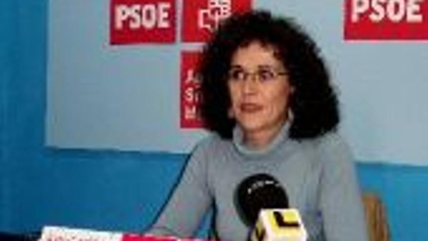 El PSOE no consigue incluir dos mociones en el orden del pleno