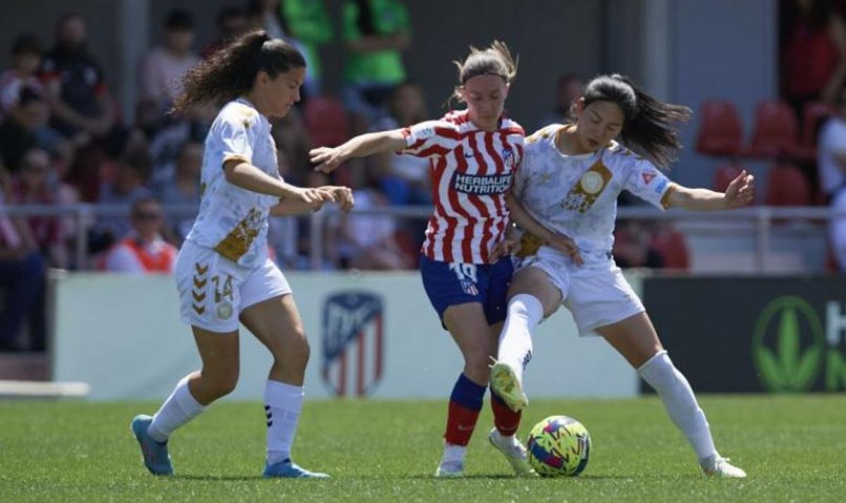 Júlia Mora observa el pols entre Navarro i Lina