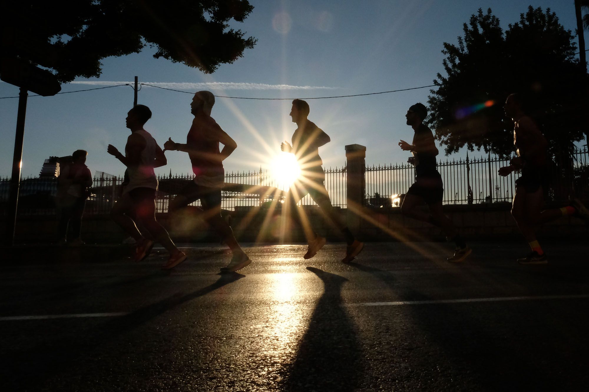 La Maratón de Málaga 2023, en imágenes