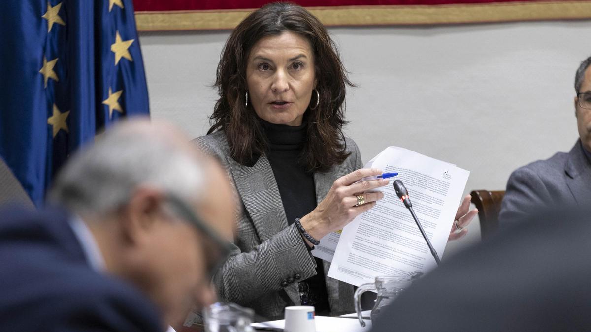 La directora de la Agencia Tributaria Canaria, Raquel Peligero, compareció en el Parlamento en enero de 2025.
