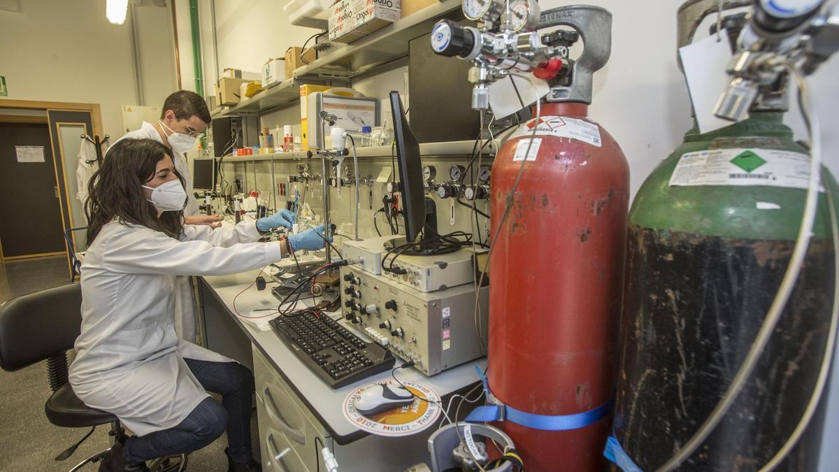 La investigadora Rosa María Arán en su laboratorio de la Universidad de Alicante en una imagen de archivo.