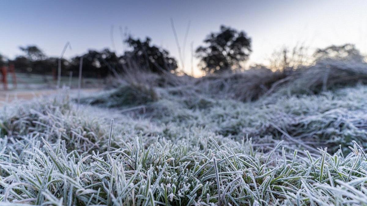 Imagen de una helada en Córdoba.