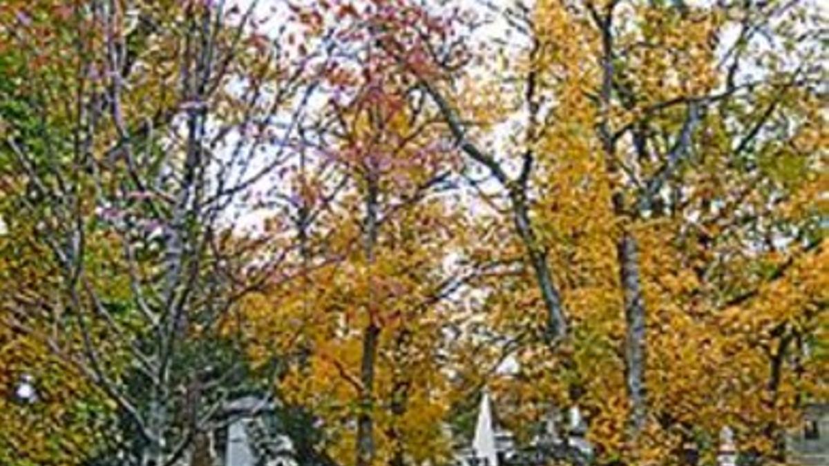 El cementerio Père-Lachaise.