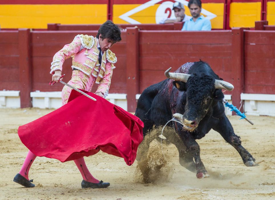 El novillero alicantino Jorge Rico triunfa en casa