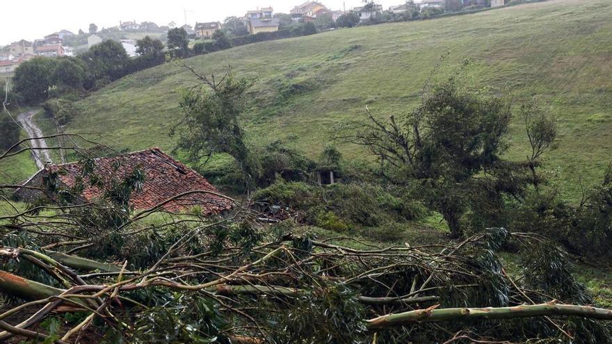 Una fuerte borrasca atlántica barre Asturias y causa inundaciones en Avilés y Oviedo, y destrozos en Gozón y Carreño, no se sabe si por un tornado o un reventón húmedo