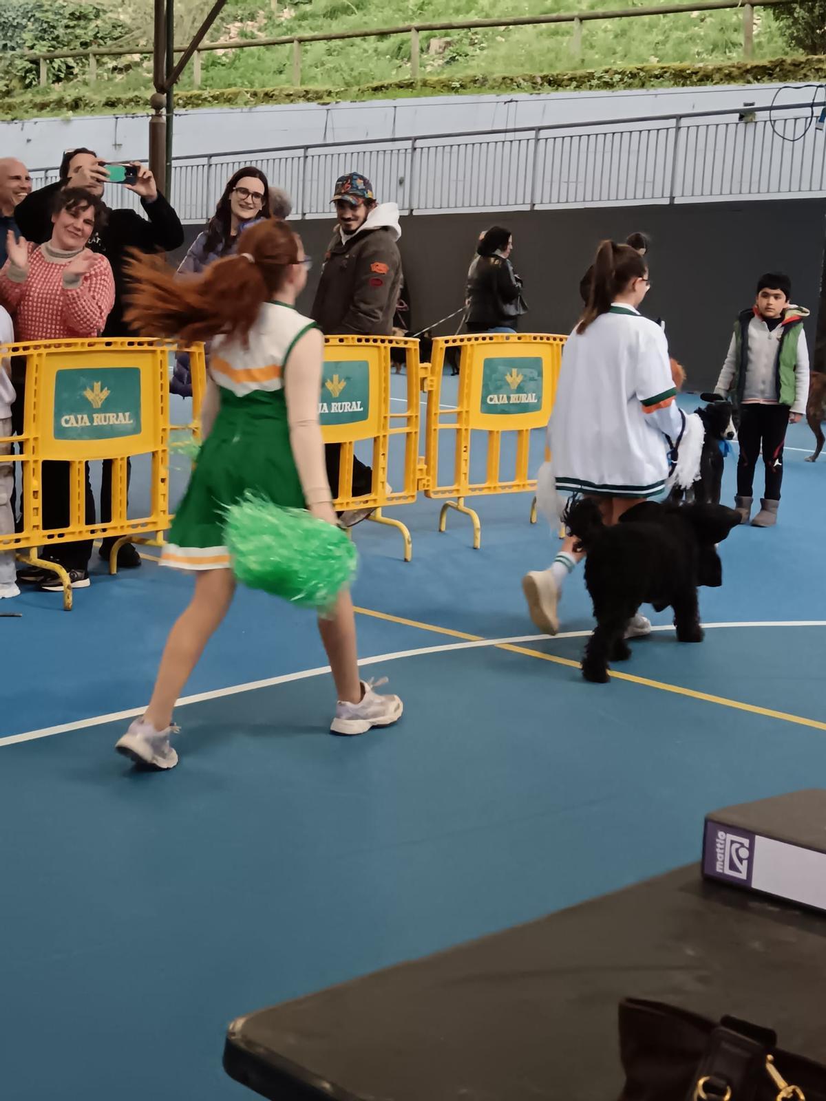 El desfile de mascotas de Grado, en imágenes