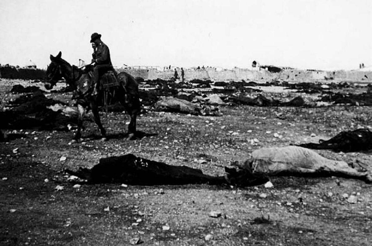 «guerra de exterminio» | D.I