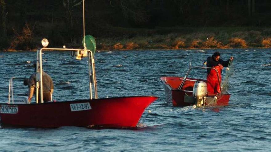 Unos pescadores de angula trabajan en el río Miño. // Ricardo Grobas