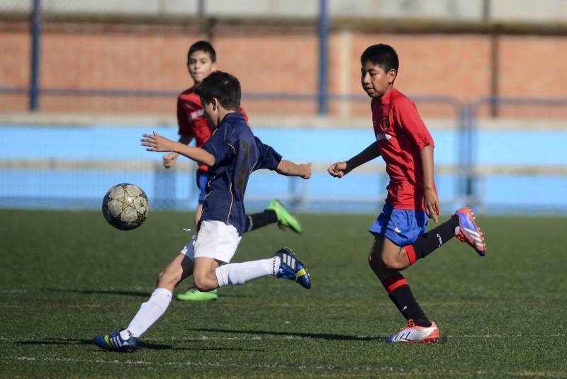 FÚTBOL: Montecarlo A - El Salvador A (2ª Alevín)