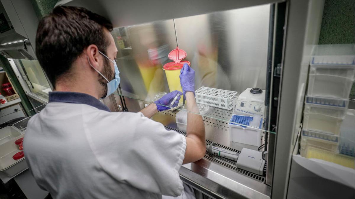 Baja el ritmo de contagios por coronavirus en Baleares: 134 nuevos casos en 24 horas