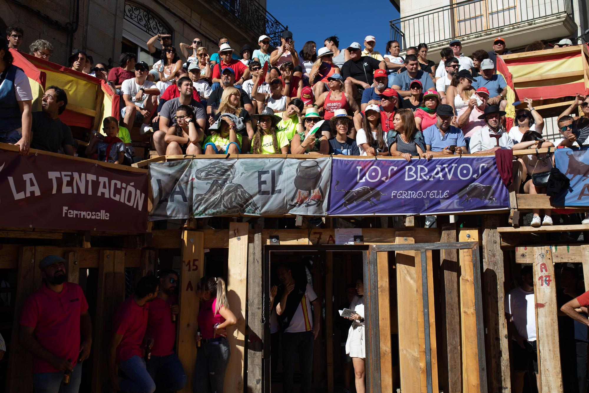 GALERÍA | Encierro colorido en Fermoselle