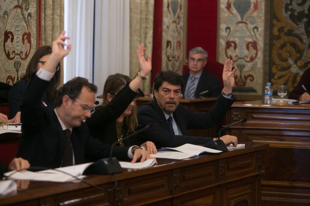 Pleno de presupuestos de Alicante