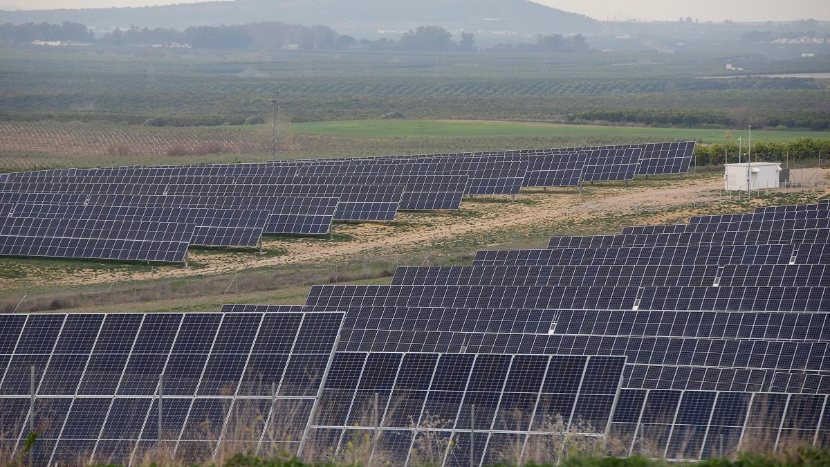Paneles solares en una planta fotovoltaica de la provincia.