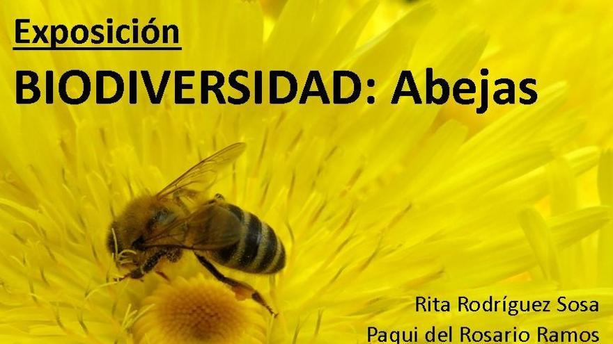 Arucas abre la Exposición &quot;Biodiversidad: Abejas&quot;