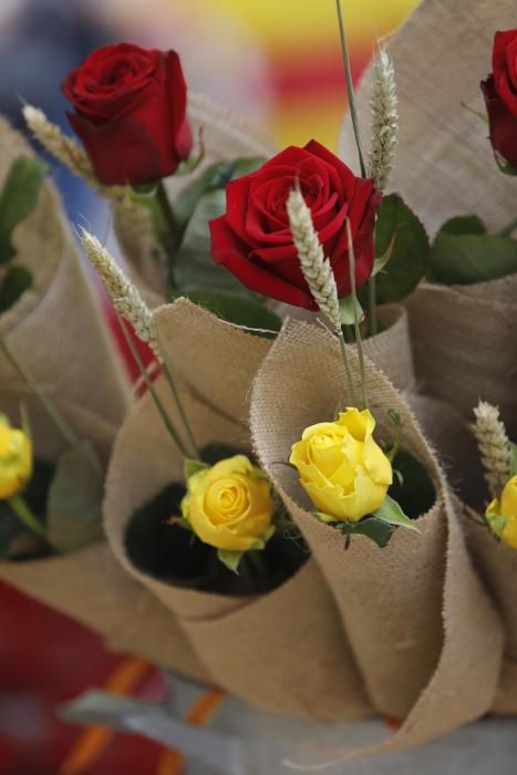 Diada de Sant Jordi 2019 a Girona.