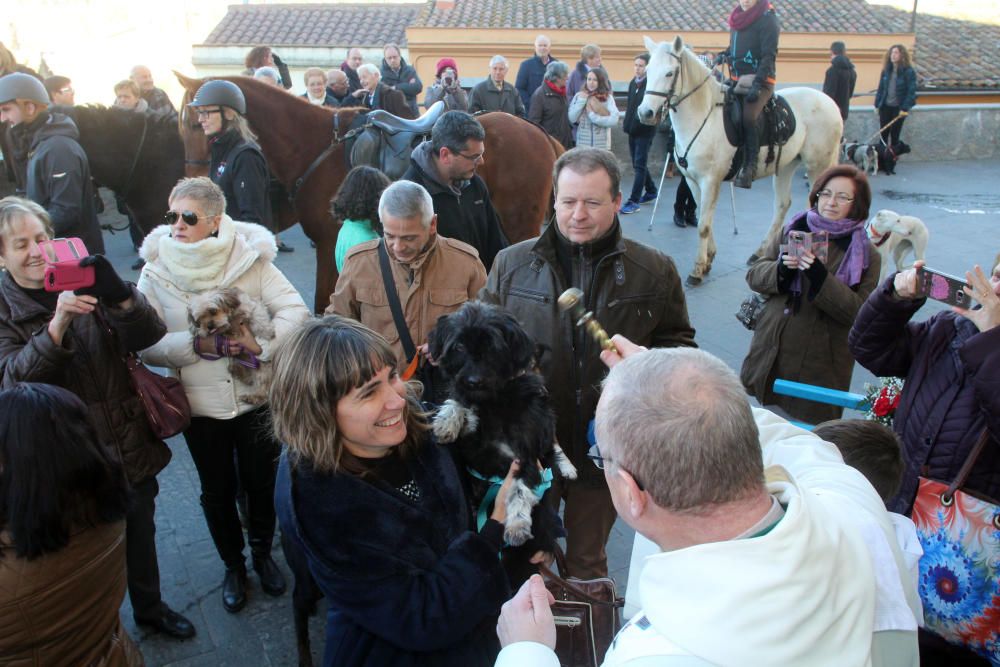 Fira de Sant Antoni d'Anglès